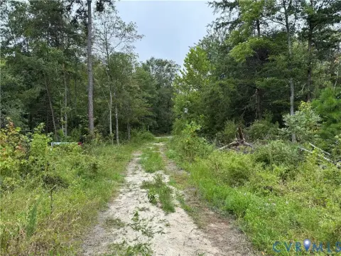 8.5 Acres Wooded Lot