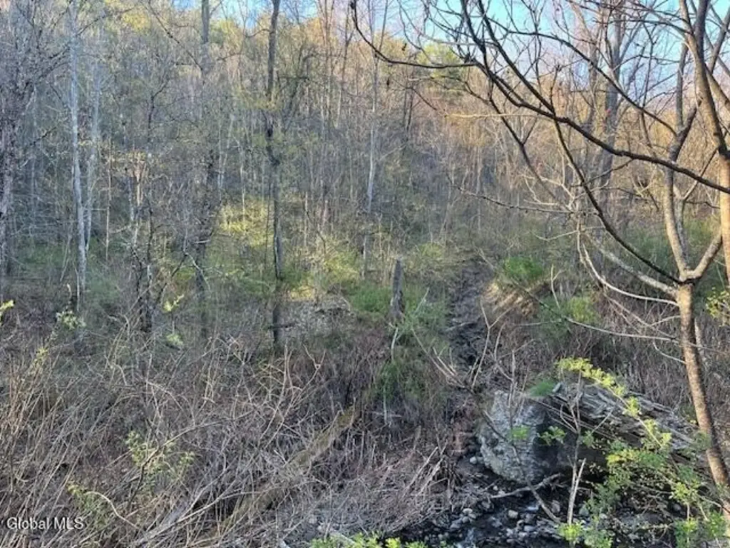 Picture 25