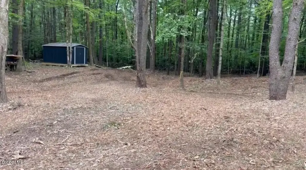 Picture 3