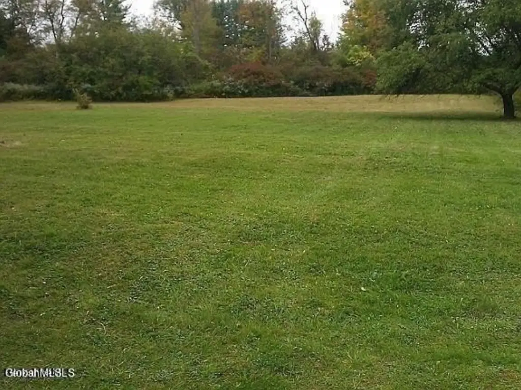 Picture 7