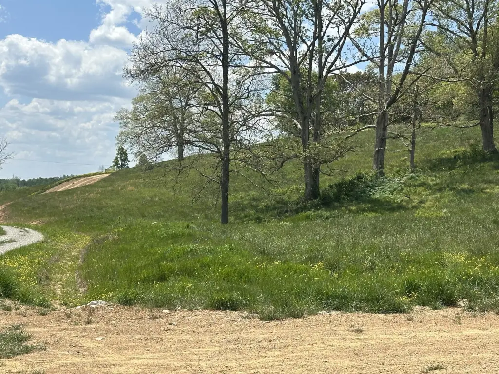 Picture 13