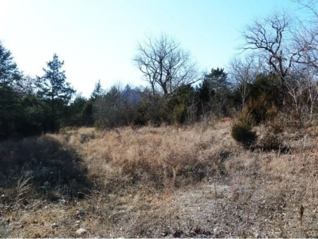 Picture 9