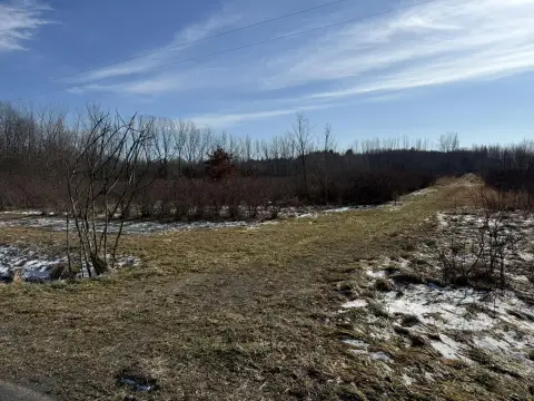 20 Acres Versatile Land