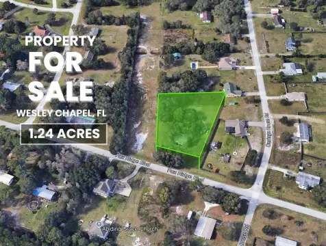 Residential Land in Wesley Chapel