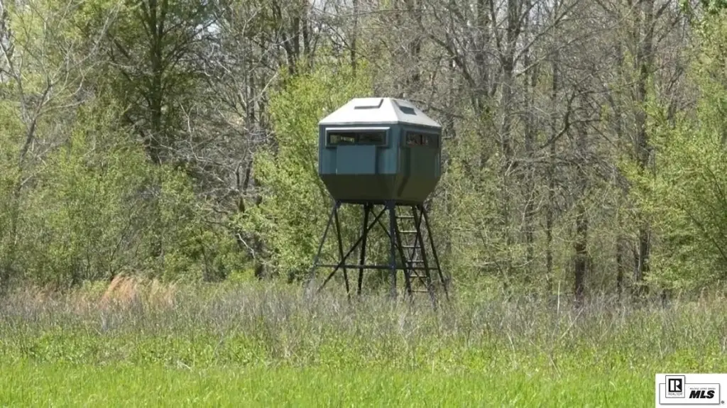 Picture 15
