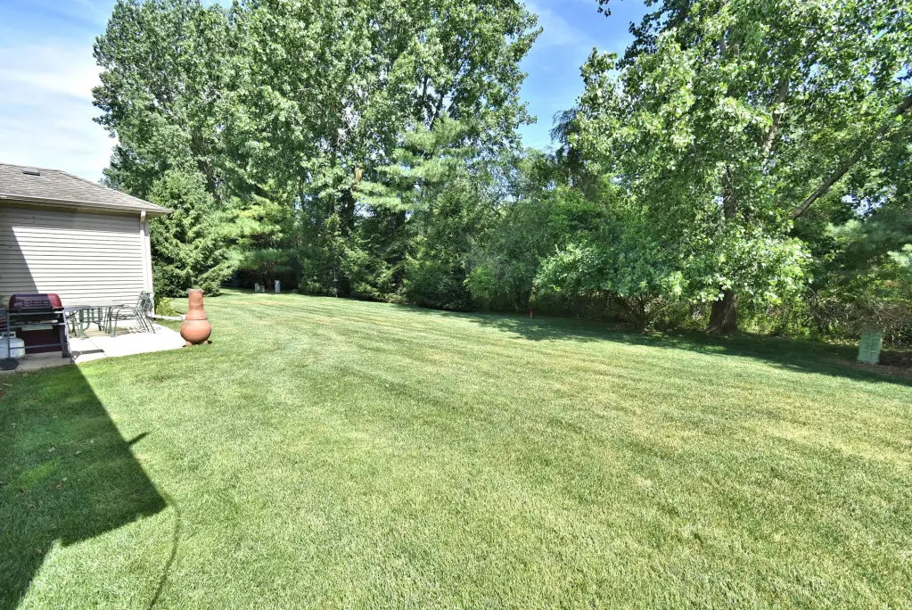 Picture 24