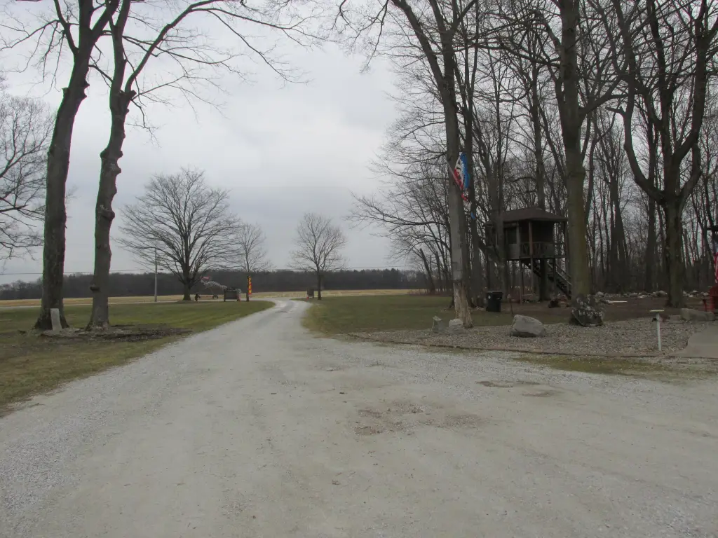 Picture 33