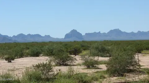 80-Acre Parcel in Tonopah, AZ