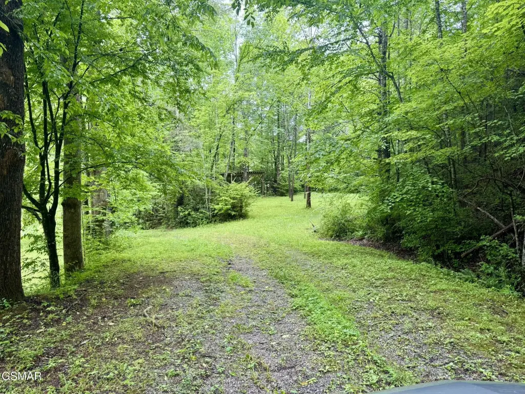 Picture 12