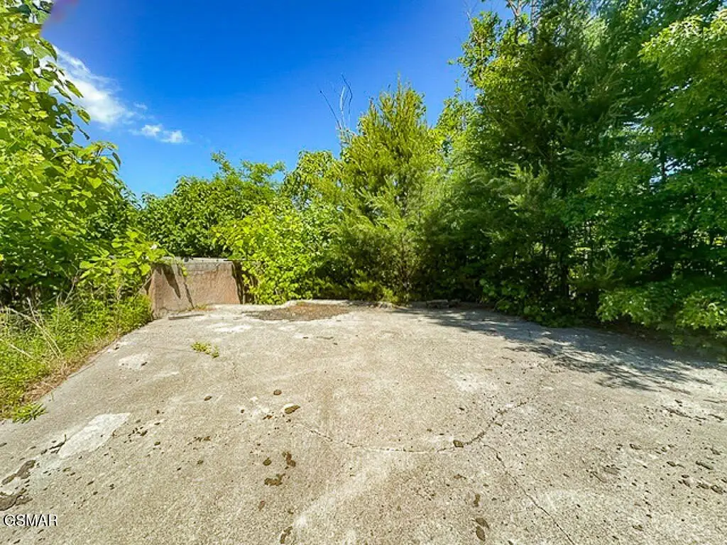 Picture 6