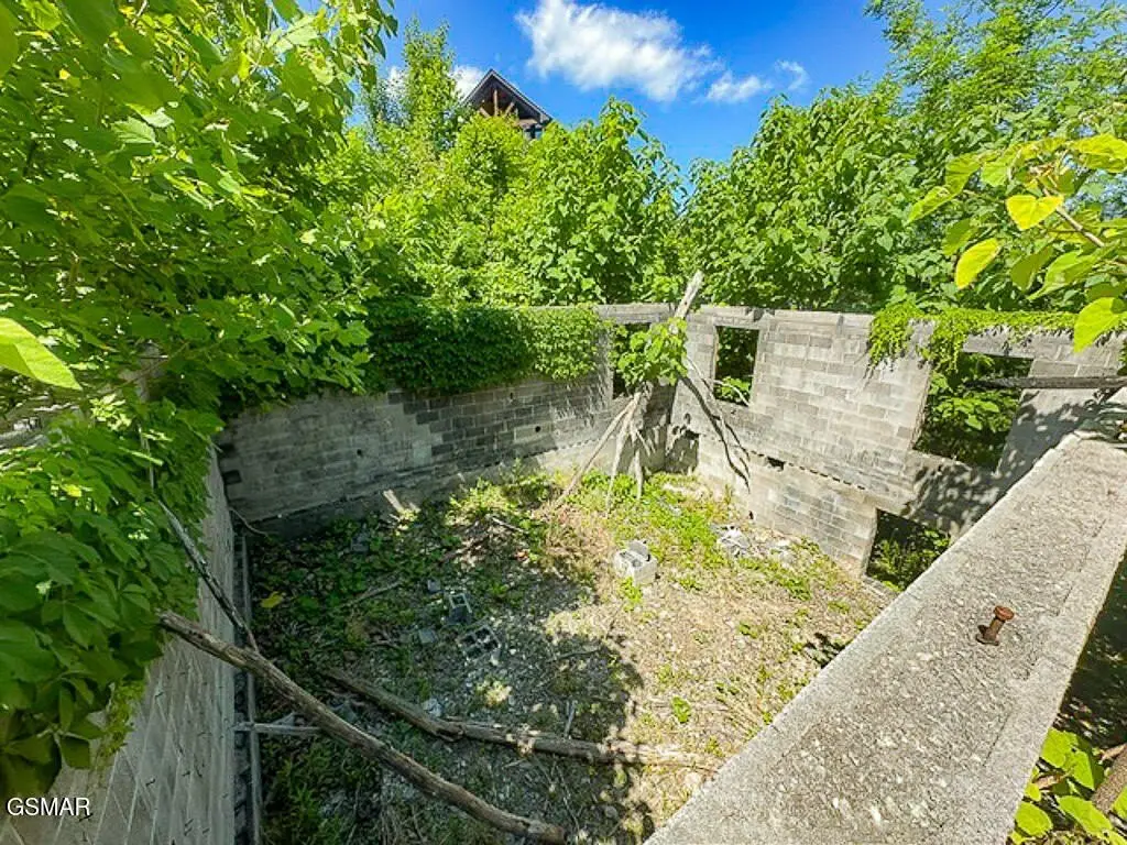 Picture 5