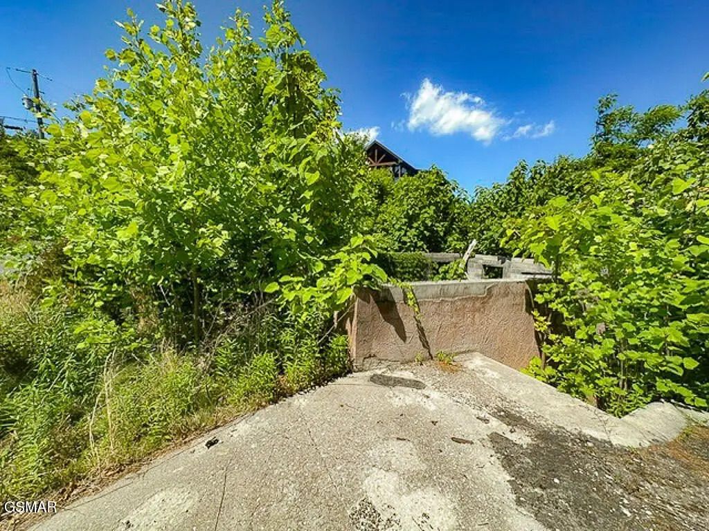 Picture 4