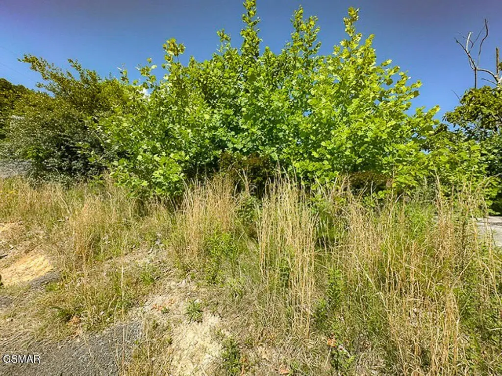 Picture 3