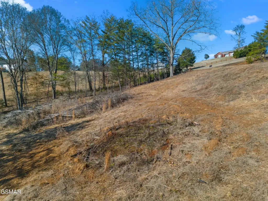 Picture 12