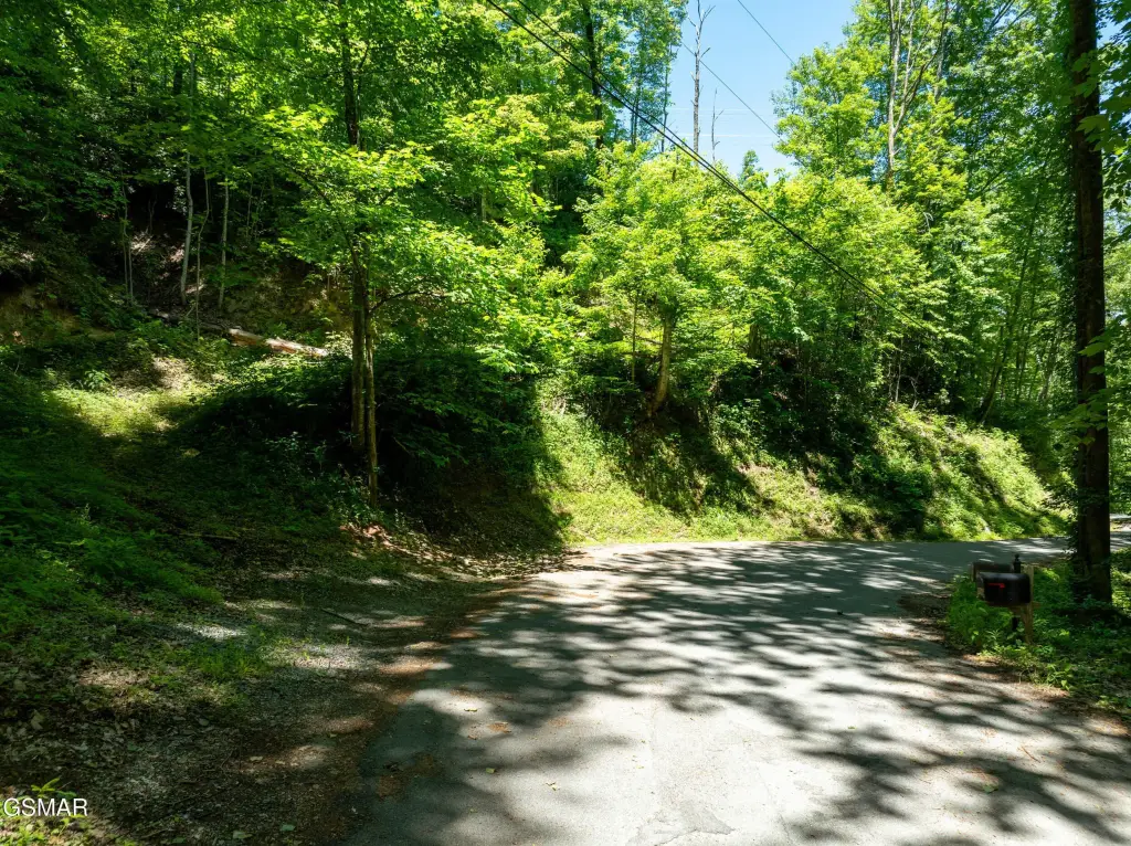 Picture 20