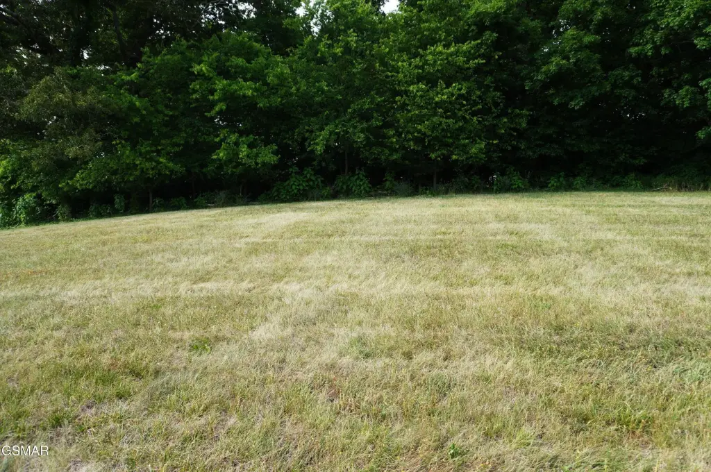 Picture 25