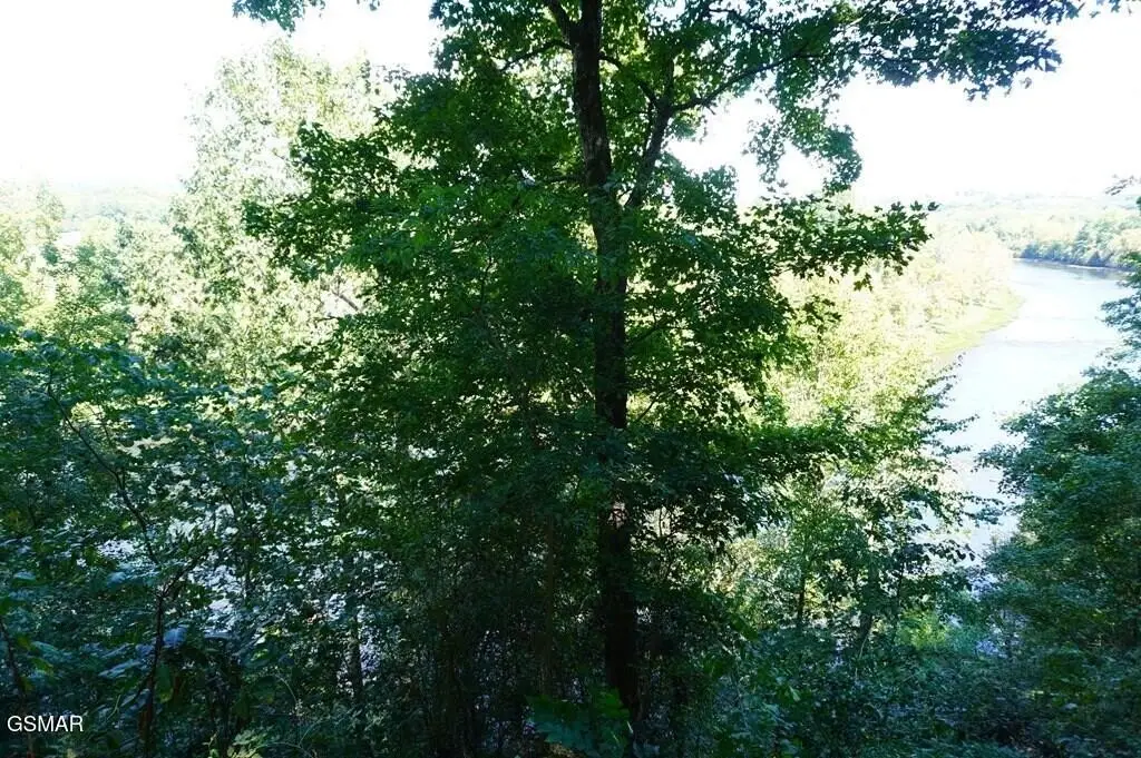Picture 18