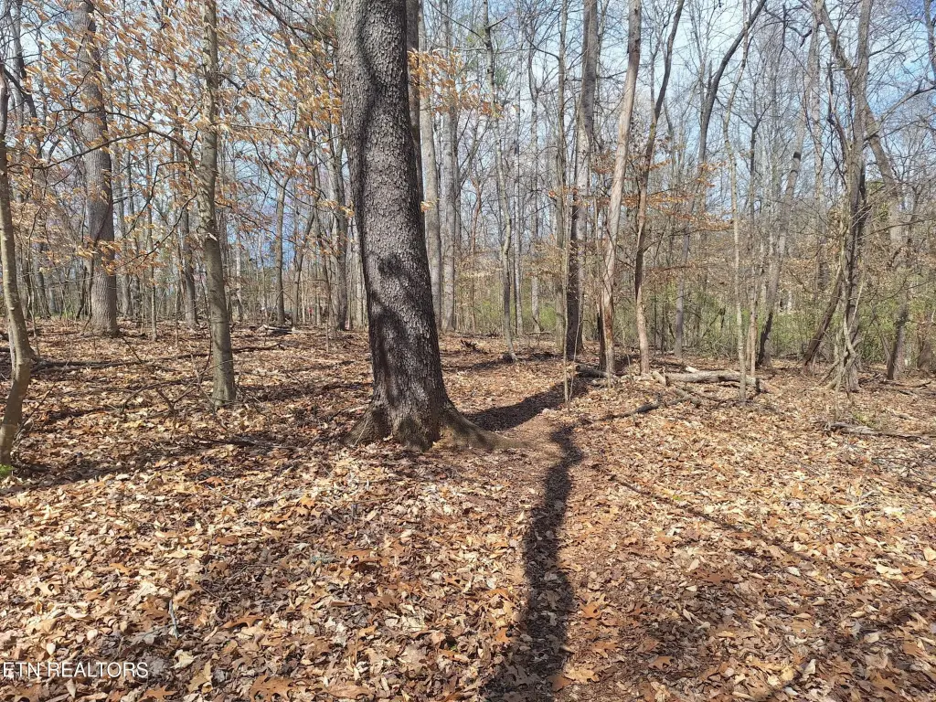 Picture 4
