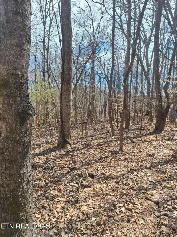 Picture 3