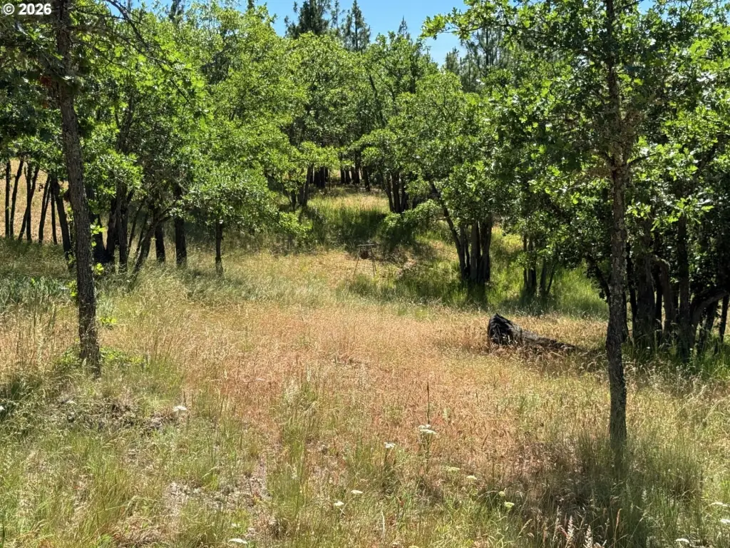 Picture 28
