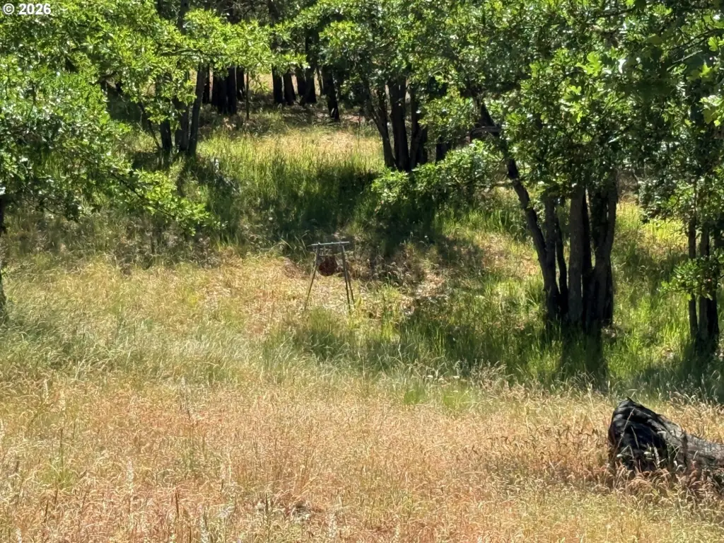 Picture 29