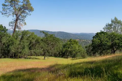 80 Acres in Coarsegold Foothills
