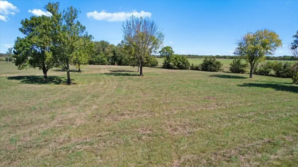 Picture 15