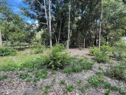Residential Lot Near Gainesville