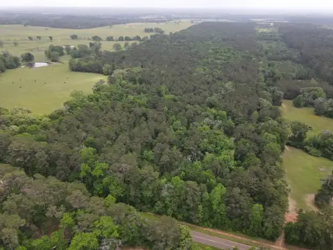 Crockett Timber Tract For Sale