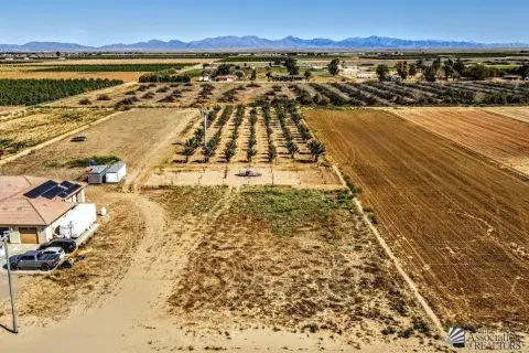 Date Palm Agricultural Land