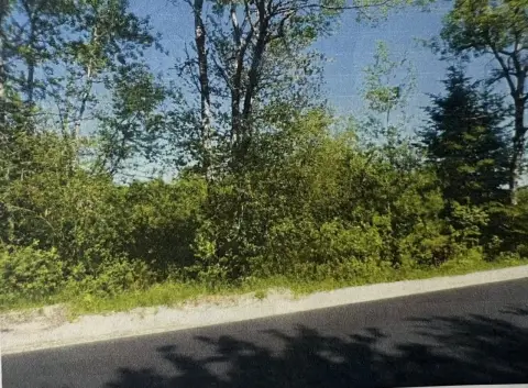 Land Parcel in Surry, Maine