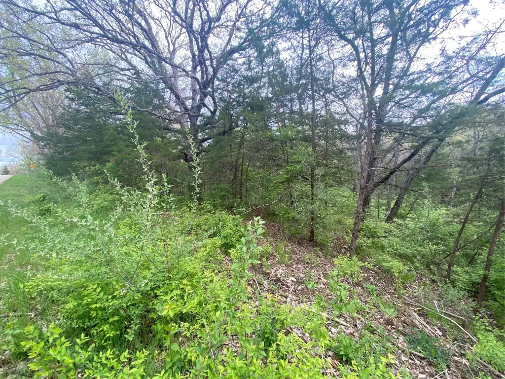 Picture 4