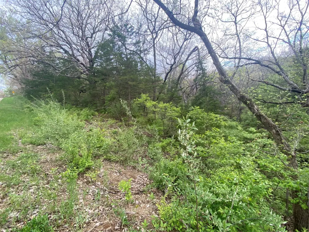 Picture 5