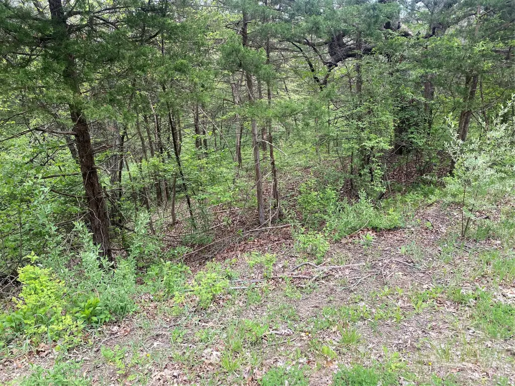 Picture 6