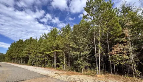 Highway-Frontage Commercial Land
