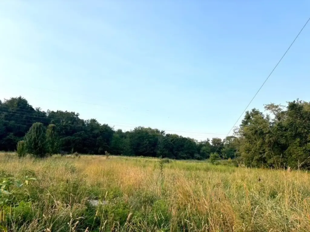 Picture 10