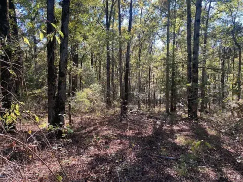 3-Acre Wooded Residential Land