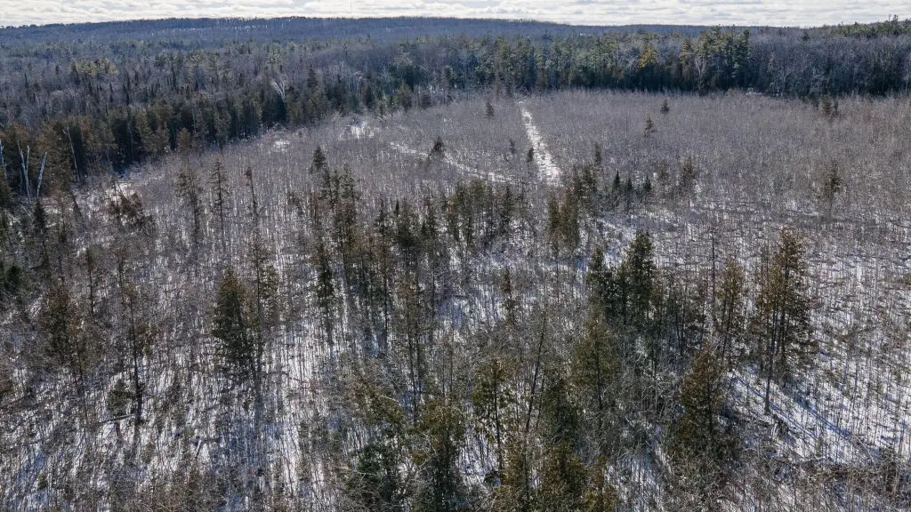 Picture 45