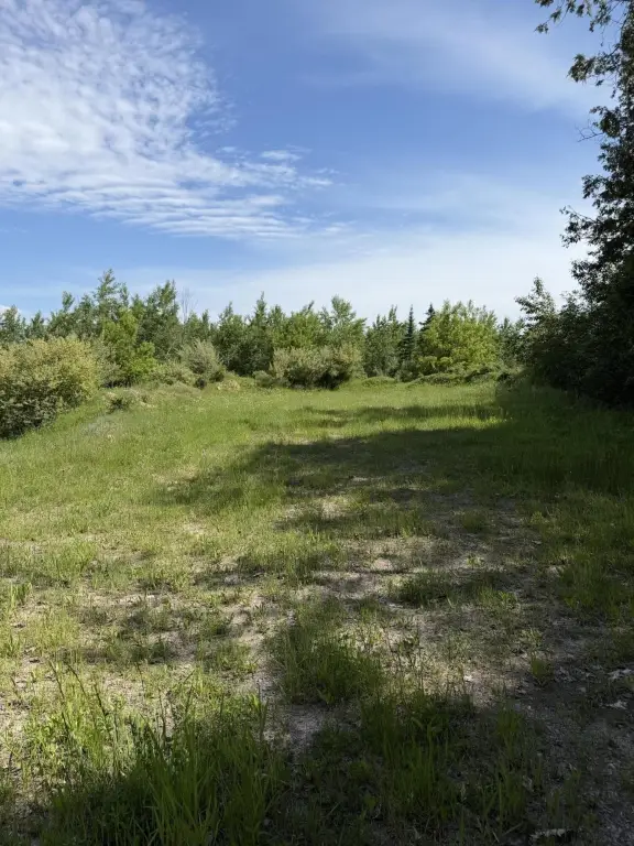 Picture 41