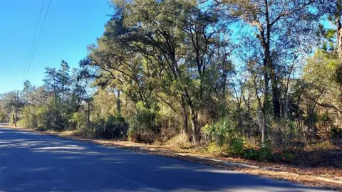 Land in Peaceful Dunnellon Setting