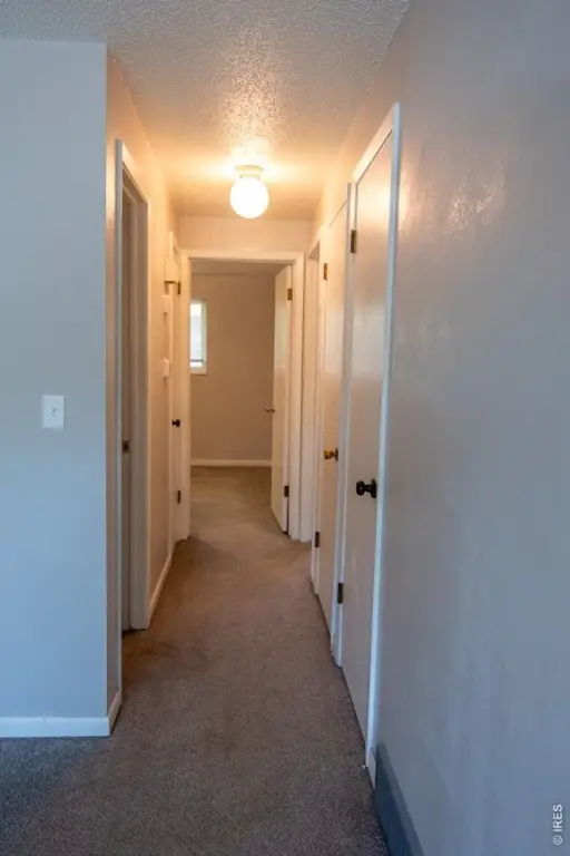 Picture 27