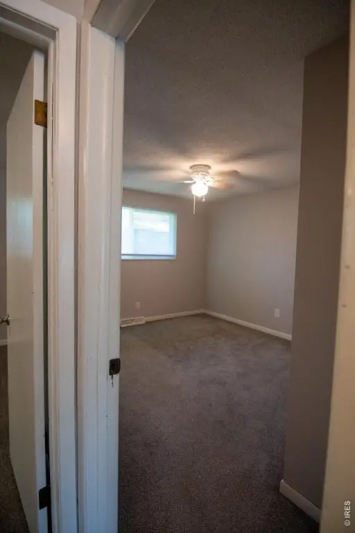 Picture 28