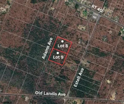 Wooded Lots in Hamilton Township