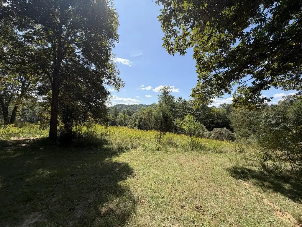 Picture 19