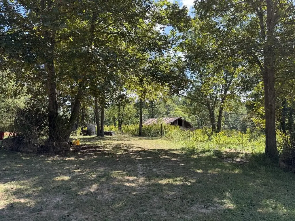 Picture 16