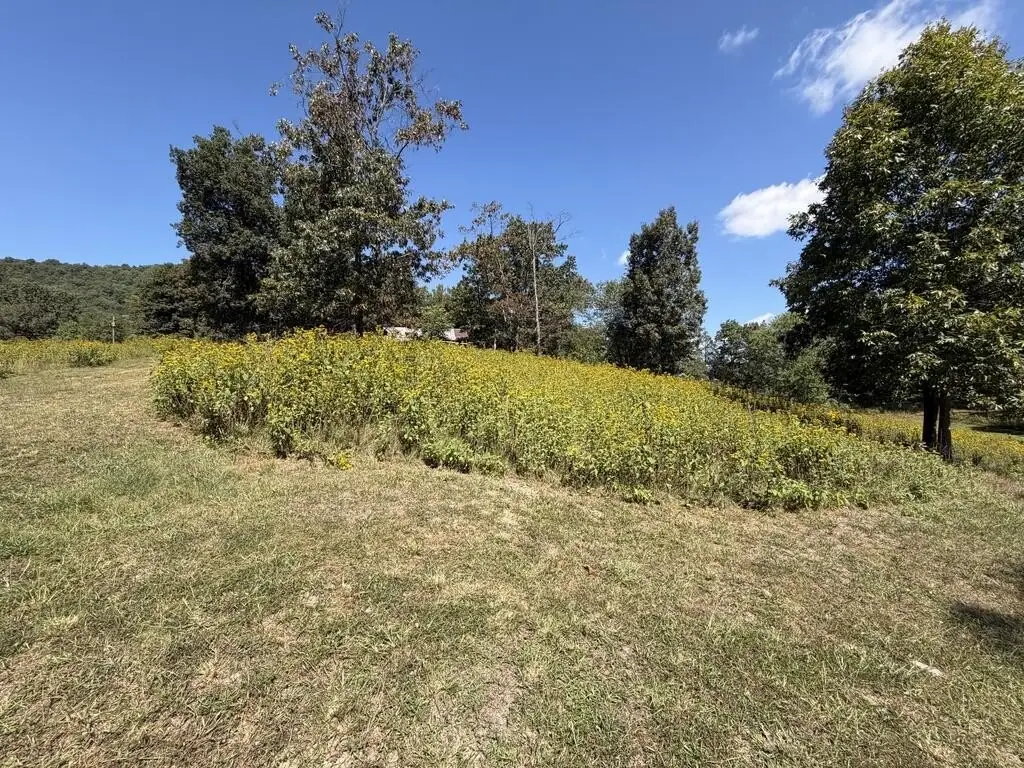 Picture 29
