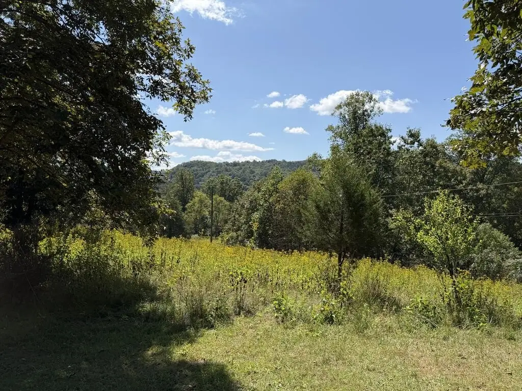 Picture 18