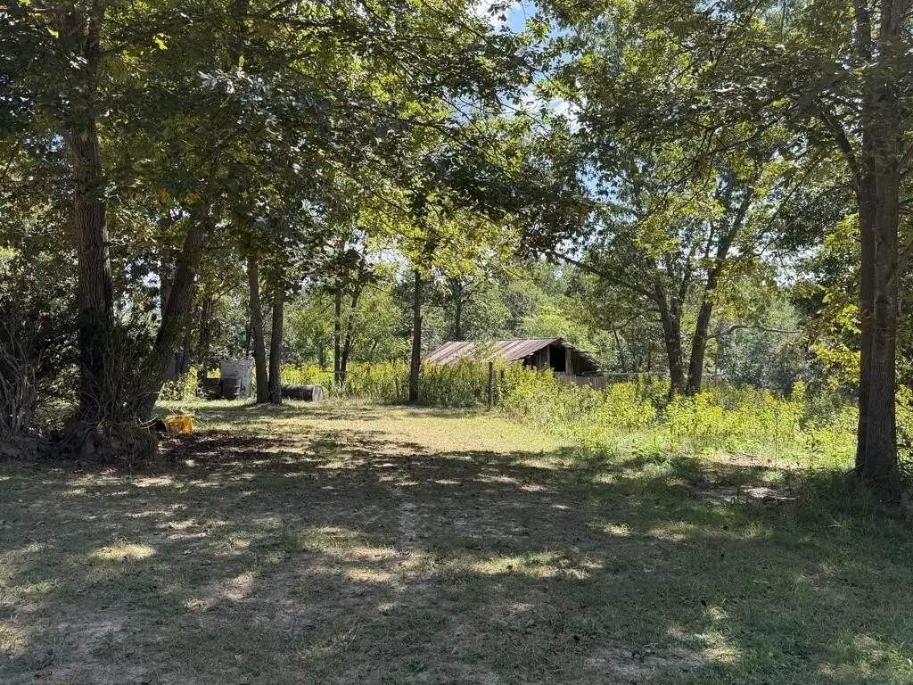 Picture 17