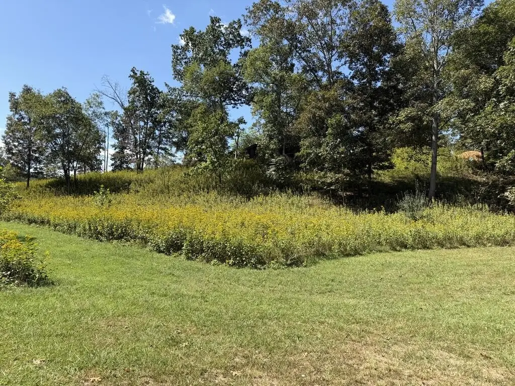 Picture 43