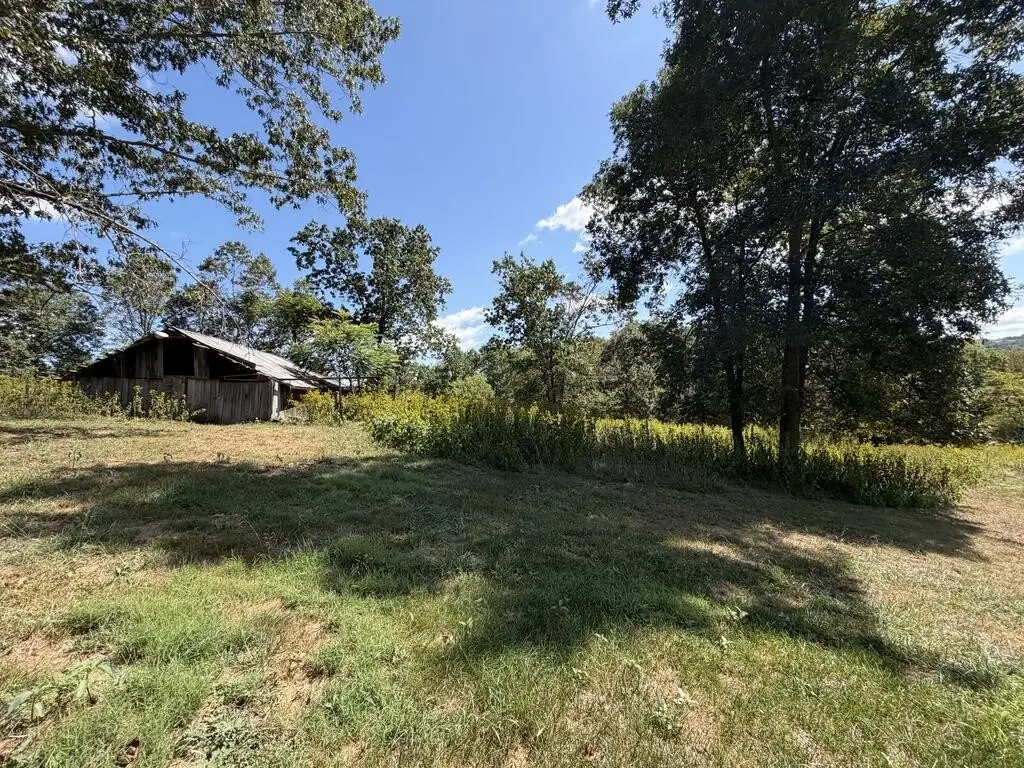 Picture 23